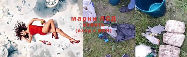 спиды Арсеньев